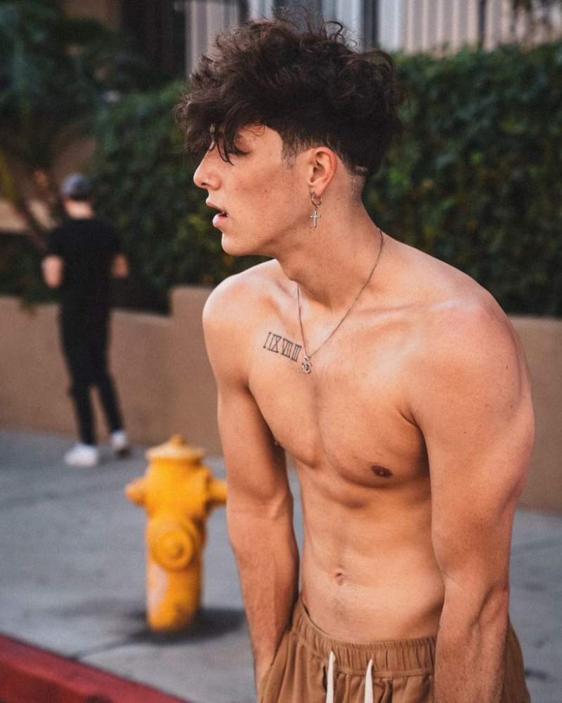 Tayler Holder (Hype House) Vek, výška, priateľka, gay, Wiki