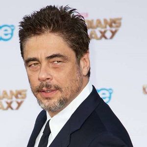 Benicio del Toro Bio
