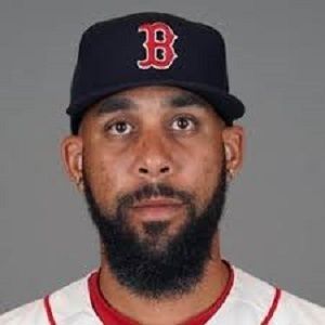David Price Bio