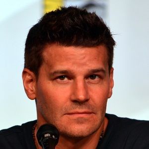 David Boreanaz Bio