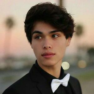 Alex Stokes Bio