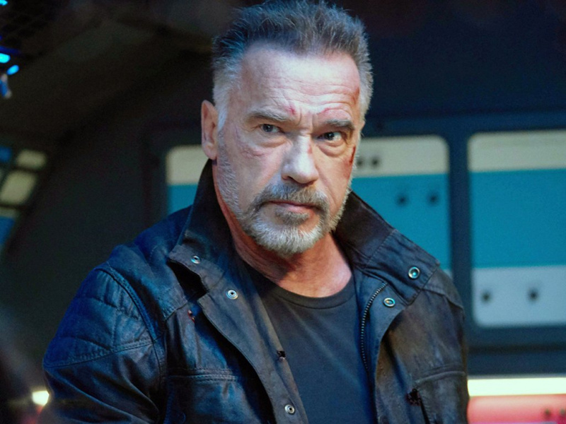 Arnold Schwarzeneggerin Baby Mama, Mildred Baenan Wiki