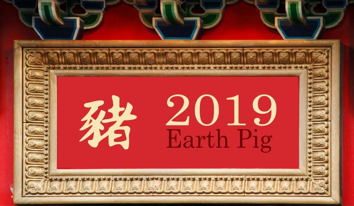 2019 Кытай Zodiac: Earth Pig Year - Жеке сапаттары