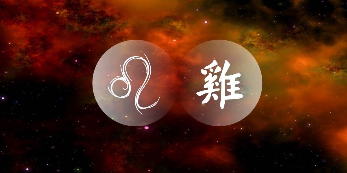 しし座のオンドリ：中国の西洋占星術の発信チャーマー
