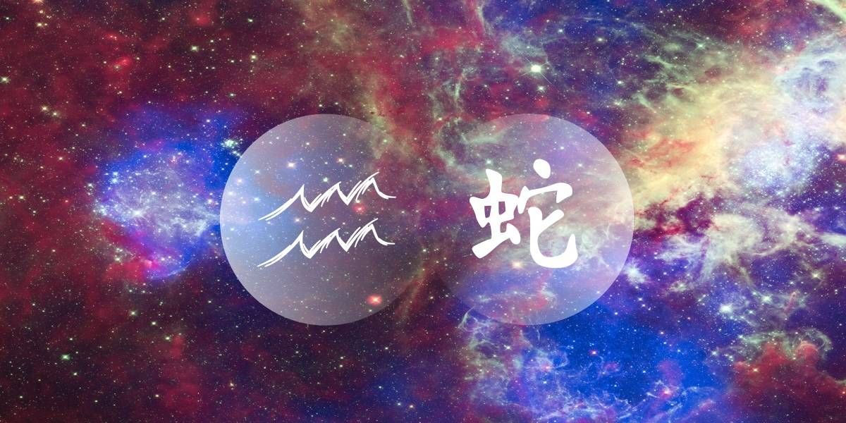 Inyoka ye-Aquarius: I-Optimist yeVigilant ye-Chinese Western Zodiac