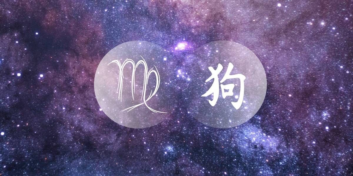Virgo Dog: el cervell intuïtiu del zodíac occidental xinès