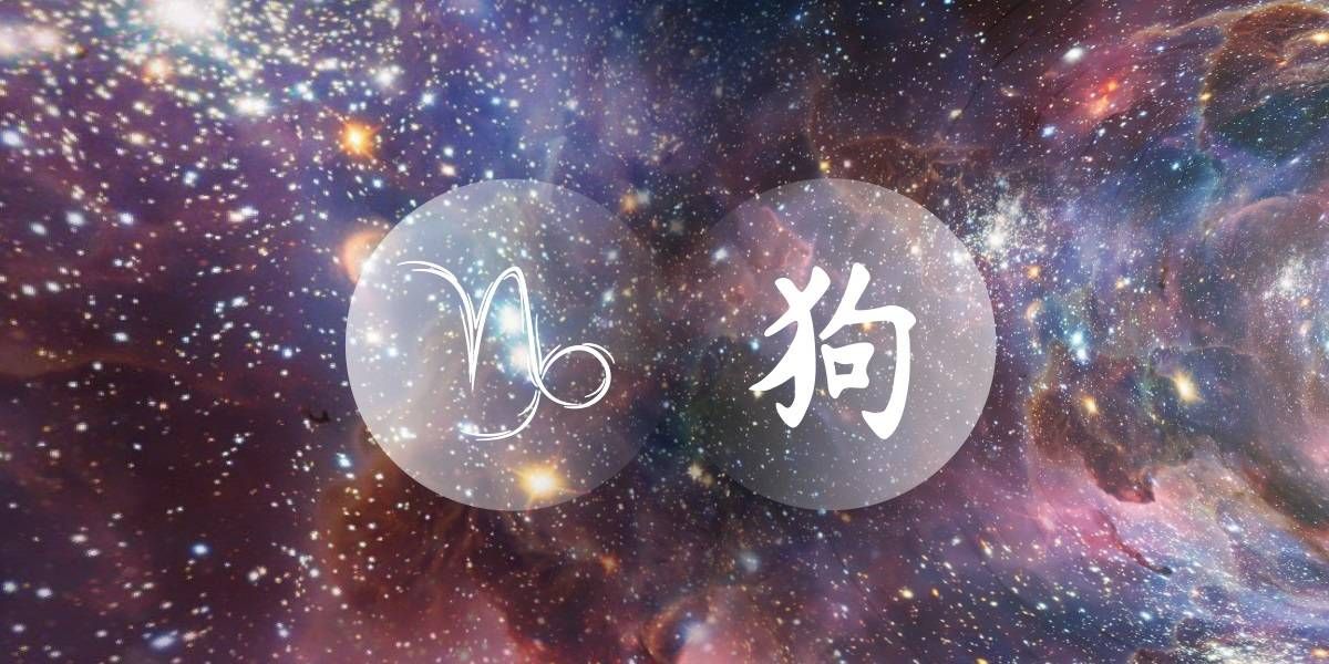 Mežāzis: Ķīnas rietumu zodiaka patīkamais pavadonis
