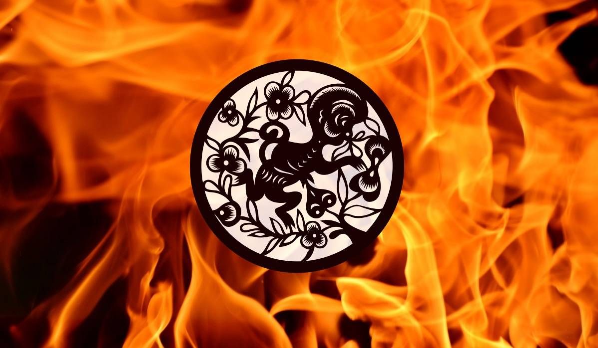 Kpụrụ omume nke Fire Monkey Chinese Zodiac Sign