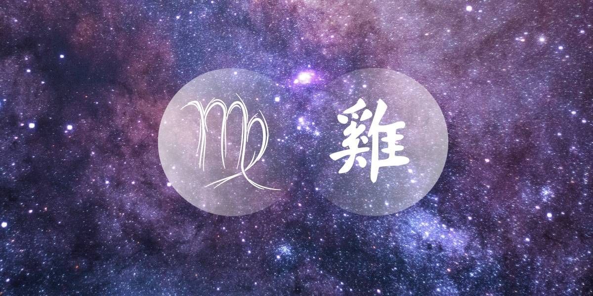 Devica Petelin: presenetljivo klepetanje kitajskega zahodnega zodiaka