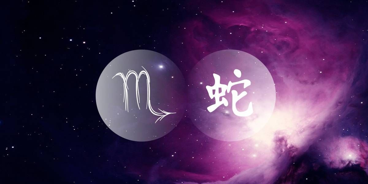 Ular Scorpio: Skeptis Selesa Zodiak Barat Cina