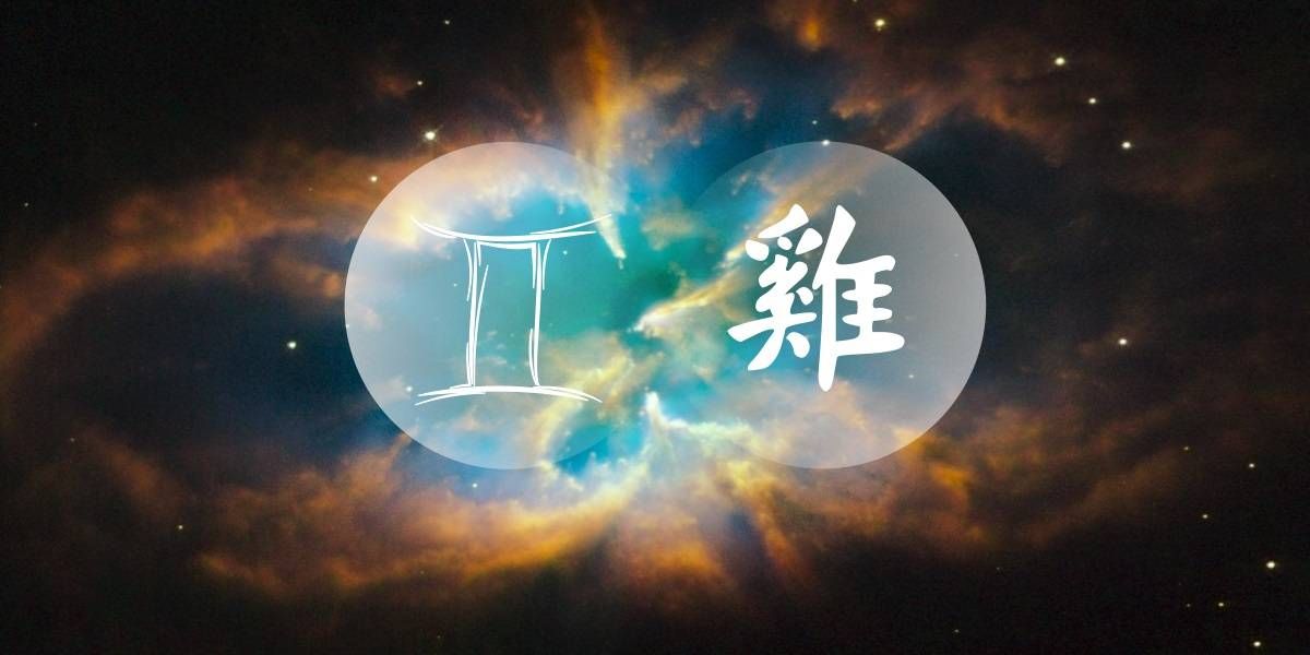Petelin dvojček: prefinjeni mislec kitajskega zahodnega zodiaka