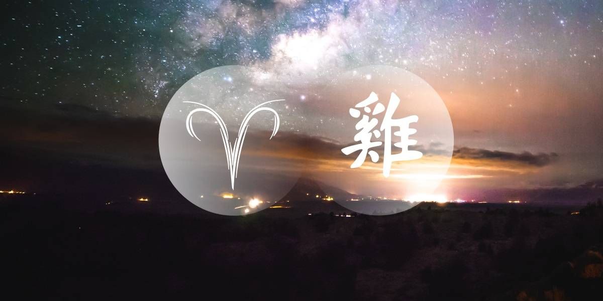 Avino gaidys: jaudinantis Kinijos vakarų zodiako ieškotojas