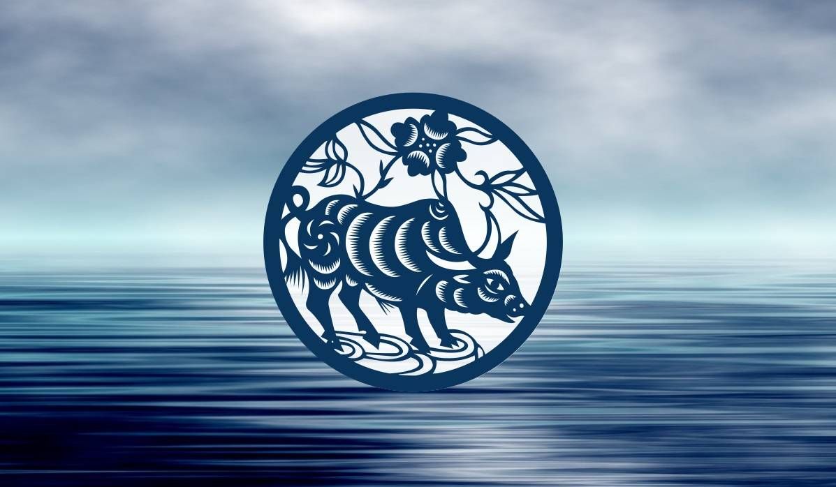 Tratti chiave del segno zodiacale cinese del bue dell'acqua