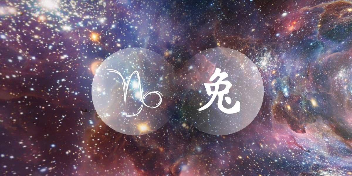 Arnab Capricorn: Penggemar Zodiak Barat China