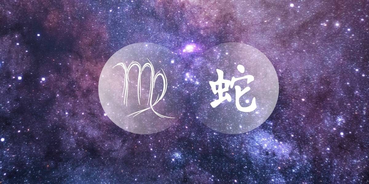 Kača Devica: očarljivi filozof kitajskega zahodnega zodiaka
