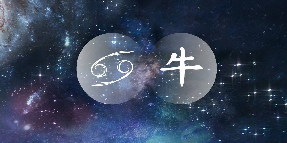 Vēža vērsis: Ķīnas rietumu zodiaka radošuma meklētājs