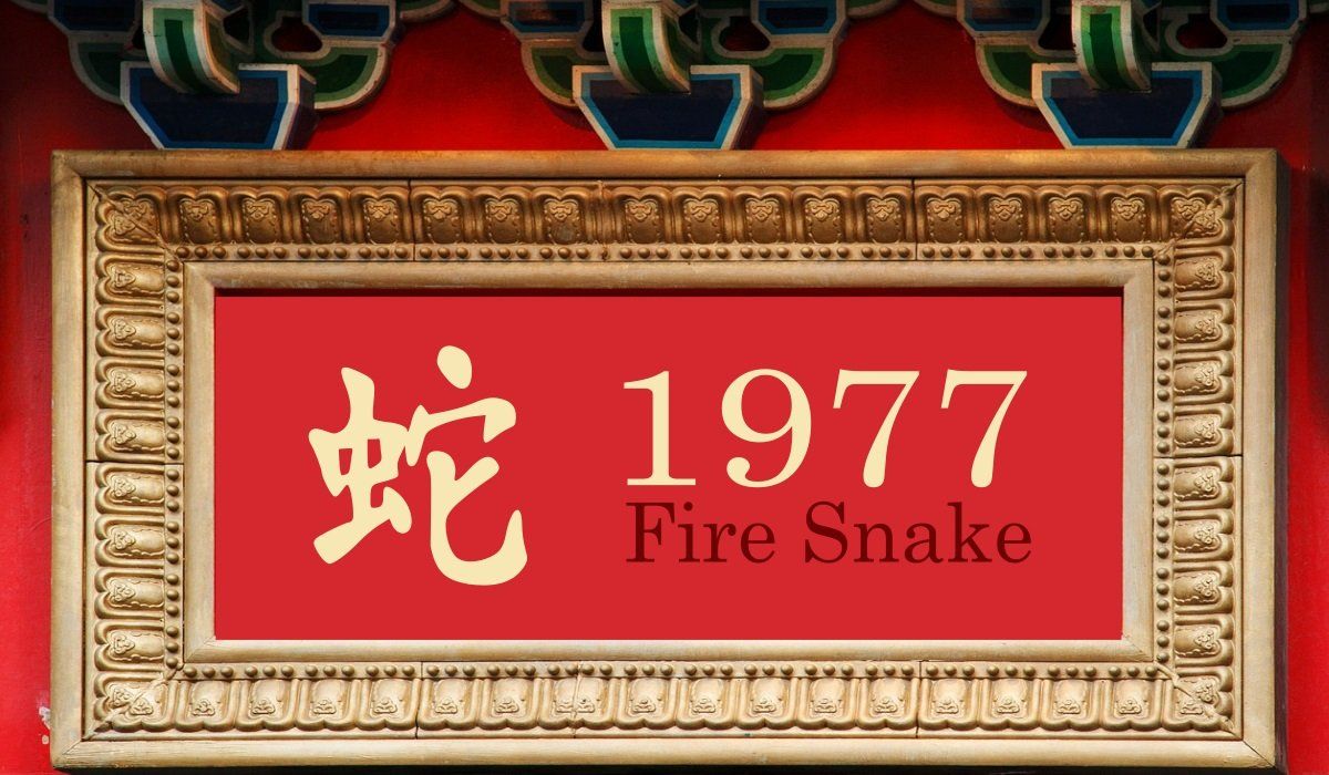 1977 Fire Snake Year