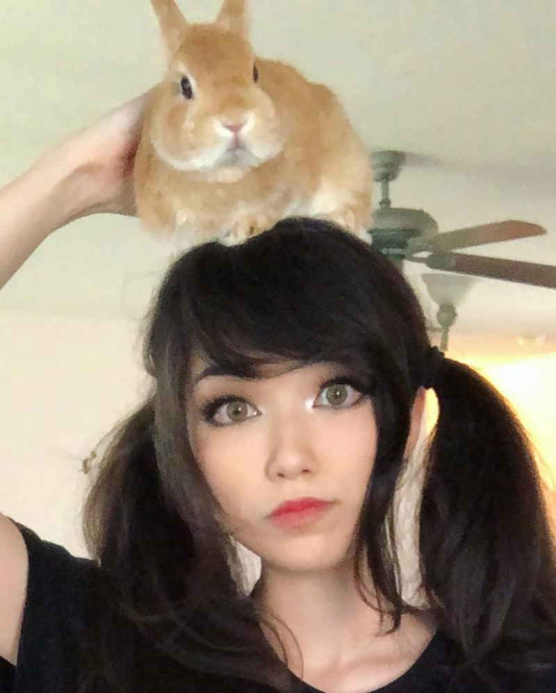 Neizrečena resnica o dekletu Marcusa Hilla (Dyrus) – Emiru