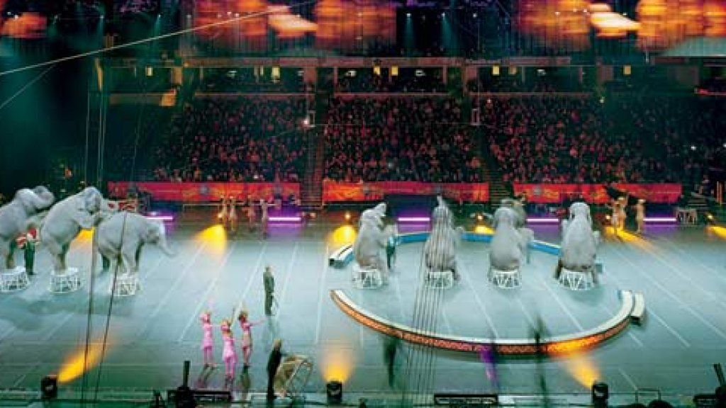 ธุรกิจของ Ringling Bros. และ Barnum & Bailey Circus