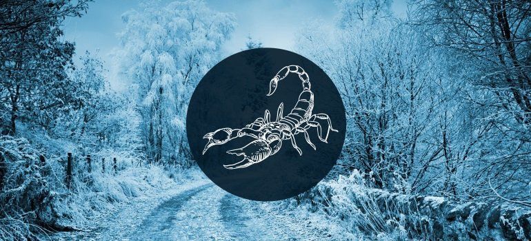 Škorpijon december 2018 Mesečni horoskop