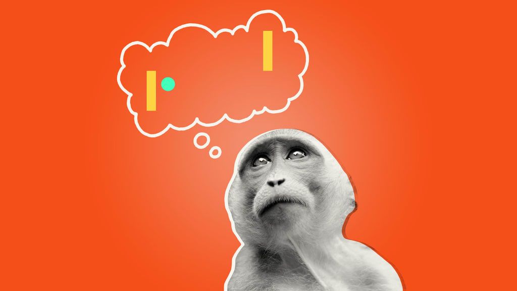 Ein Affe, dem Elon Musks Neuralink implantiert wurde, spielt jetzt Pong – wirklich gut – mit seinem Verstand