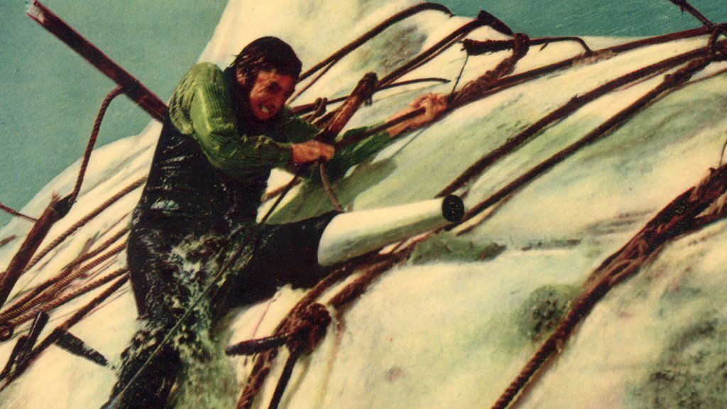 Din egen private hval: Lederskap leksjoner fra Moby Dick