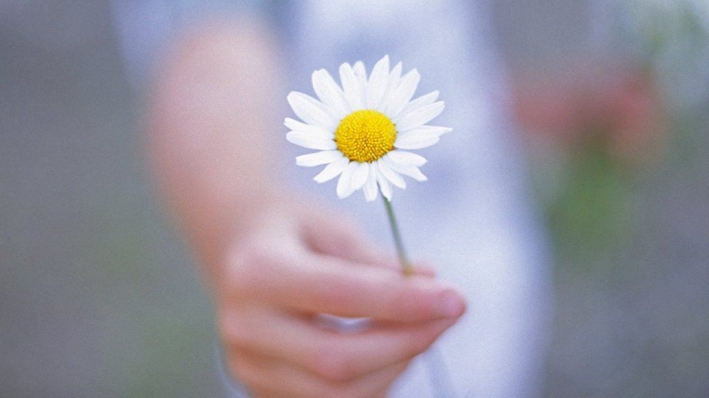 もっと欲しいものは何でも、もっとあげてください。